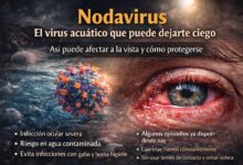 Nodavirus: qué es el virus que puede dejarte ciego y cómo protegerte