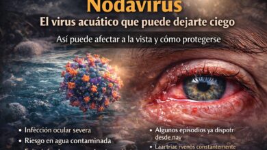 Nodavirus: qué es el virus que puede dejarte ciego y cómo protegerte