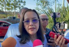 Secretaria de Salud descarta focos rojos de repunte de dengue