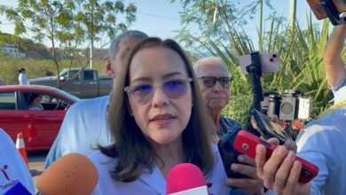 Secretaria de Salud descarta focos rojos de repunte de dengue