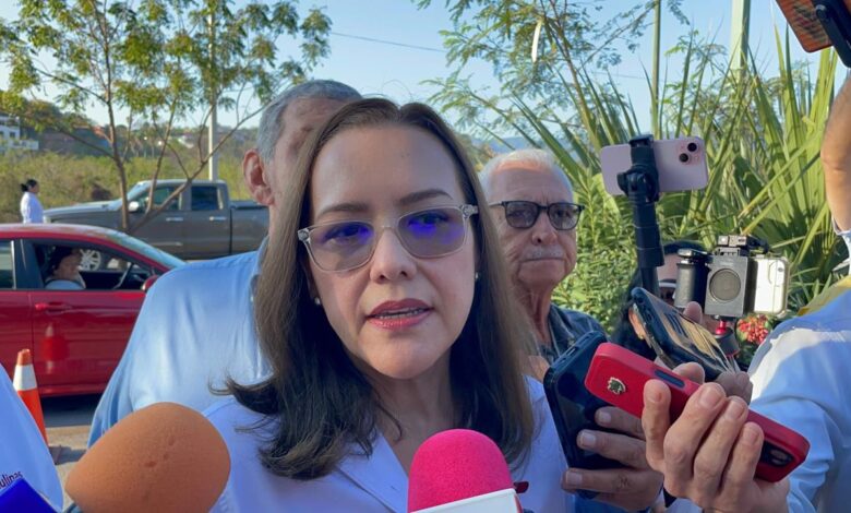 Secretaria de Salud descarta focos rojos de repunte de dengue