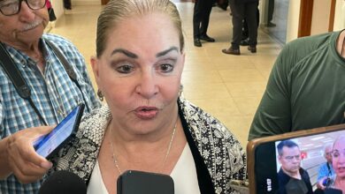 Diputada priista hace llamado a consolidar alianza "grande" para derrotar a Morena