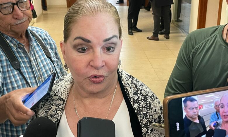 Diputada priista hace llamado a consolidar alianza "grande" para derrotar a Morena