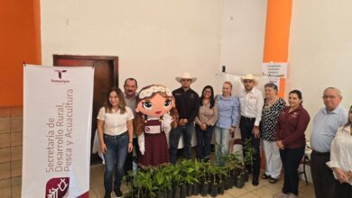 Con pláticas y donación de plantas, promueven cuidado ambiental en Padilla