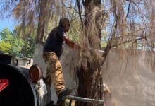 Elementos de Bomberos atienden llamado en la colonia Gutíerrez de Lara
