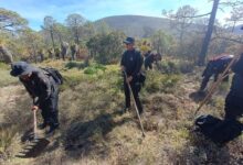 Continúan acciones para sofocar incendio forestal en la Sierra de Miquihuana