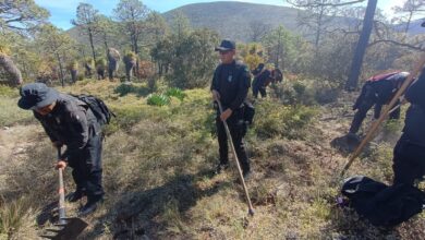Continúan acciones para sofocar incendio forestal en la Sierra de Miquihuana
