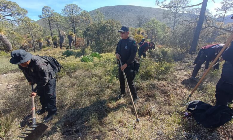 Continúan acciones para sofocar incendio forestal en la Sierra de Miquihuana