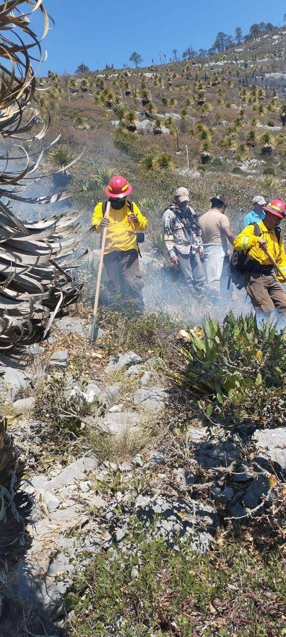 Continúan atendiendo incendio forestal en Joya de Zavala