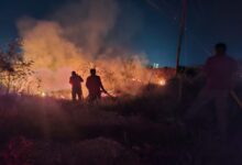 Elementos de Bomberos atienden incendio en Libramiento Naciones Unidas