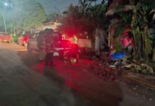 Bomberos atienden reporte de incendio en Amp Linda Vista