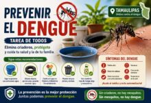 Cómo prevenir el dengue en Tamaulipas: síntomas, riesgos y recomendaciones