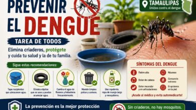 Cómo prevenir el dengue en Tamaulipas: síntomas, riesgos y recomendaciones