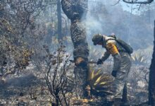 Ejército y brigadistas combaten incendios forestales en Miquihuana
