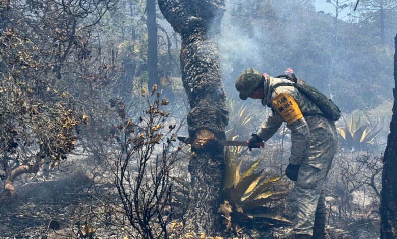 Ejército y brigadistas combaten incendios forestales en Miquihuana