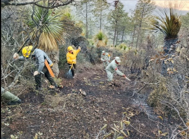 Ejército y brigadistas combaten incendios forestales en Miquihuana