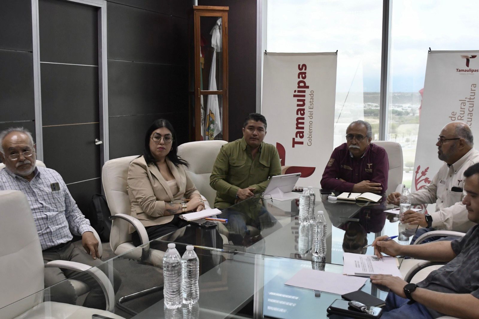 Estructura Tamaulipas proyecto para elevar la producción de carne de calidad