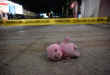 Misterio en Culiacán: ya son cinco casos donde aparecen cerditos rosas junto a víctimas de violencia