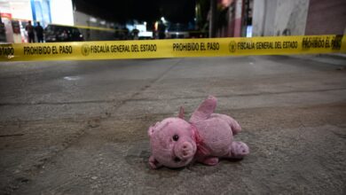 Misterio en Culiacán: ya son cinco casos donde aparecen cerditos rosas junto a víctimas de violencia