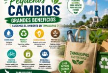 Pequeños cambios que ayudan a cuidar el ambiente en Tamaulipas