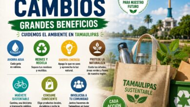 Pequeños cambios que ayudan a cuidar el ambiente en Tamaulipas