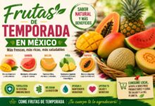 Frutas de temporada en México: cuáles consumir y qué beneficios aportan a tu salud