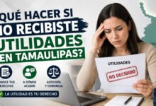 Qué hacer si no recibiste el pago de tus utilidades en tiempo y forma