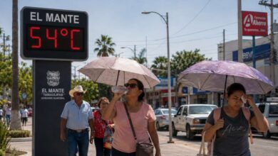 Calor extremo en Tamaulipas supera los 53 grados centígrados en dos municipios