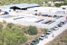 Cateos en Ciudad Victoria y Matamoros dejan 14 detenidos y aseguran 348 mil 700 litros de aceite, armas, droga y vehículos.