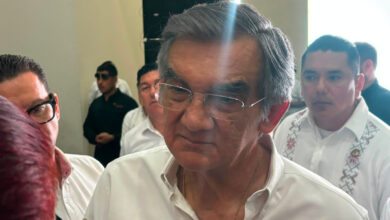 Ganado bovino en Tamaulipas ante la posible reapertura de exportaciones a Estados Unidos.