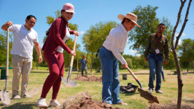 Nuevo Laredo reporta más de 5 mil 380 árboles y jardines polinizadores plantados desde 2024 como parte de sus acciones de reforestación y recuperación de espacios públicos.
