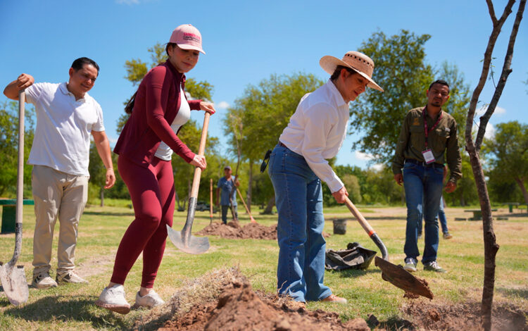 Nuevo Laredo reporta más de 5 mil 380 árboles y jardines polinizadores plantados desde 2024 como parte de sus acciones de reforestación y recuperación de espacios públicos.