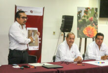 Reserva de la Biósfera El Cielo en Gómez Farías, Tamaulipas