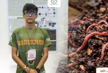 Estudiante de la UAT desarrolla un dispositivo inteligente que automatiza el monitoreo de lombrices y mejora la producción de lixiviados orgánicos.