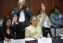 Olga Sosa, Senado, Tamaulipas, doble nacionalidad, piratería, propiedad intelectual, propiedad industrial, T-MEC, reformas