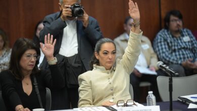 Olga Sosa, Senado, Tamaulipas, doble nacionalidad, piratería, propiedad intelectual, propiedad industrial, T-MEC, reformas