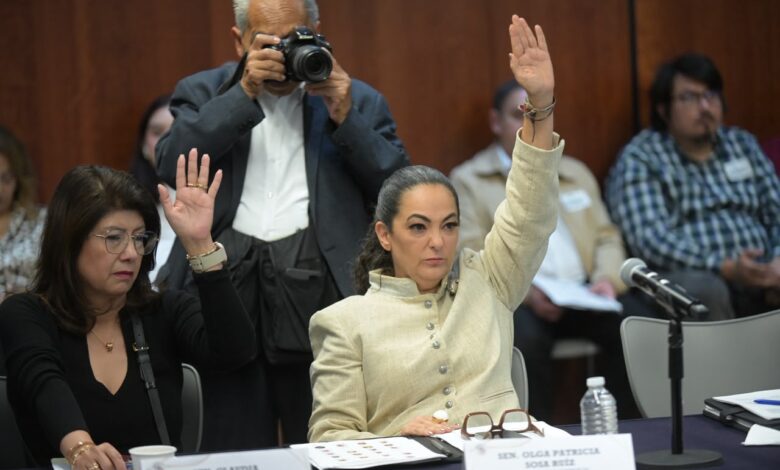 Olga Sosa, Senado, Tamaulipas, doble nacionalidad, piratería, propiedad intelectual, propiedad industrial, T-MEC, reformas