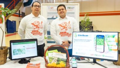 Estudiantes de la UAT desarrollaron CitriScan, una aplicación para detectar plagas en cultivos de cítricos mediante inteligencia artificial.