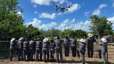 La UAT mantiene brigadas de capacitación, monitoreo y atención veterinaria para apoyar la contención del gusano barrenador en Tamaulipas.
