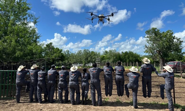 La UAT mantiene brigadas de capacitación, monitoreo y atención veterinaria para apoyar la contención del gusano barrenador en Tamaulipas.