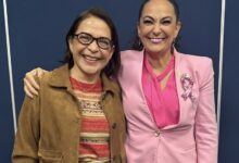 Olga Patricia Sosa Ruiz, senadora por Tamaulipas, planteó revisar las tarifas eléctricas para considerar las altas temperaturas y el mayor consumo de energía de los hogares.