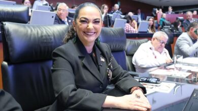 La senadora Olga Sosa Ruíz presentó tres iniciativas relacionadas con demandas ciudadanas recogidas durante sus recorridos por Tamaulipas.