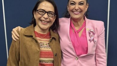 Olga Patricia Sosa Ruiz, senadora por Tamaulipas, planteó revisar las tarifas eléctricas para considerar las altas temperaturas y el mayor consumo de energía de los hogares.