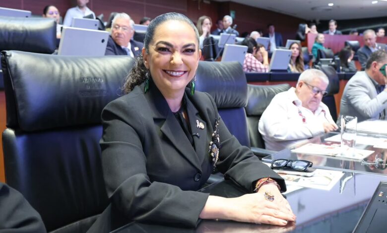 La senadora Olga Sosa Ruíz presentó tres iniciativas relacionadas con demandas ciudadanas recogidas durante sus recorridos por Tamaulipas.