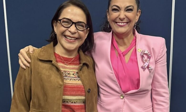 Olga Patricia Sosa Ruiz, senadora por Tamaulipas, planteó revisar las tarifas eléctricas para considerar las altas temperaturas y el mayor consumo de energía de los hogares.