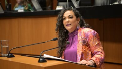 La senadora Olga Patricia Sosa Ruíz participó en la discusión de la reforma a la Ley de Desarrollo Rural Sustentable.