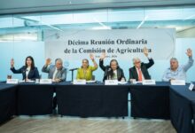 La senadora Olga Patricia Sosa Ruíz, presidenta de la Comisión de Agricultura del Senado, durante la décima reunión ordinaria del órgano legislativo.