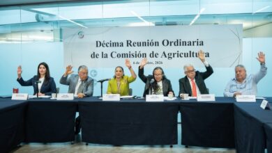 La senadora Olga Patricia Sosa Ruíz, presidenta de la Comisión de Agricultura del Senado, durante la décima reunión ordinaria del órgano legislativo.