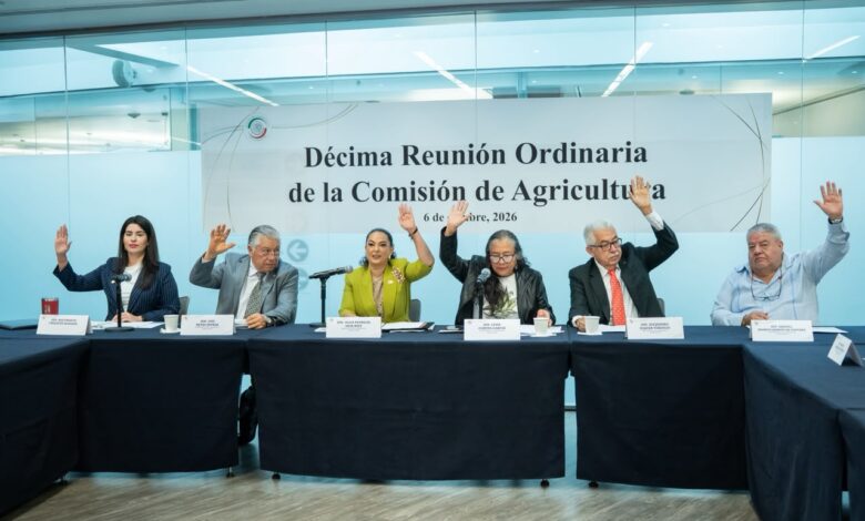 La senadora Olga Patricia Sosa Ruíz, presidenta de la Comisión de Agricultura del Senado, durante la décima reunión ordinaria del órgano legislativo.
