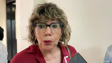 Silvia Lucero Casas González informó que los programas sociales continuarán durante el proceso electoral, con restricciones para evitar su promoción política.
